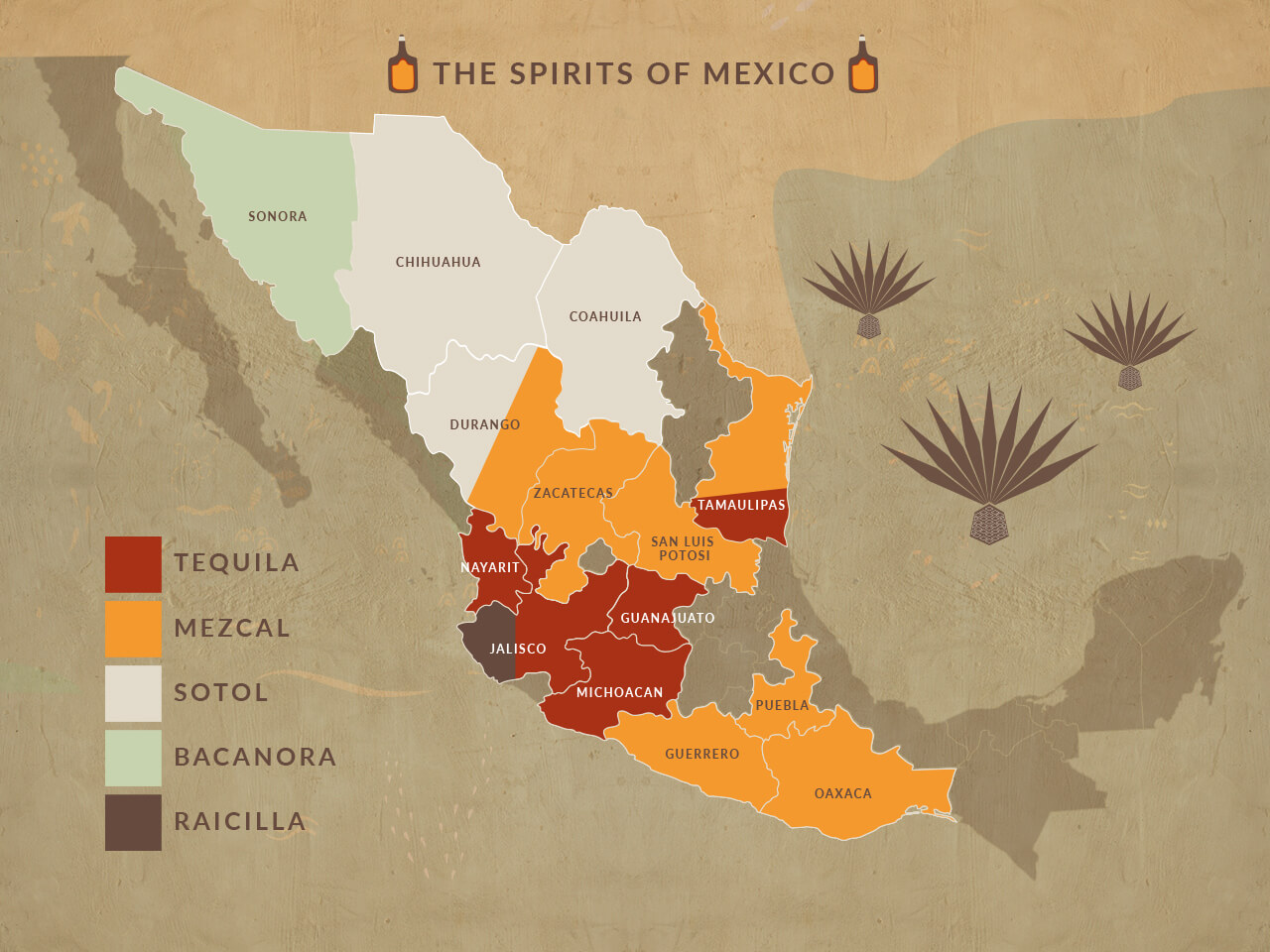Tequila and Mezcal