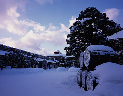 Nikka's Yoichi distillery is known for its rich, peaty whiskies